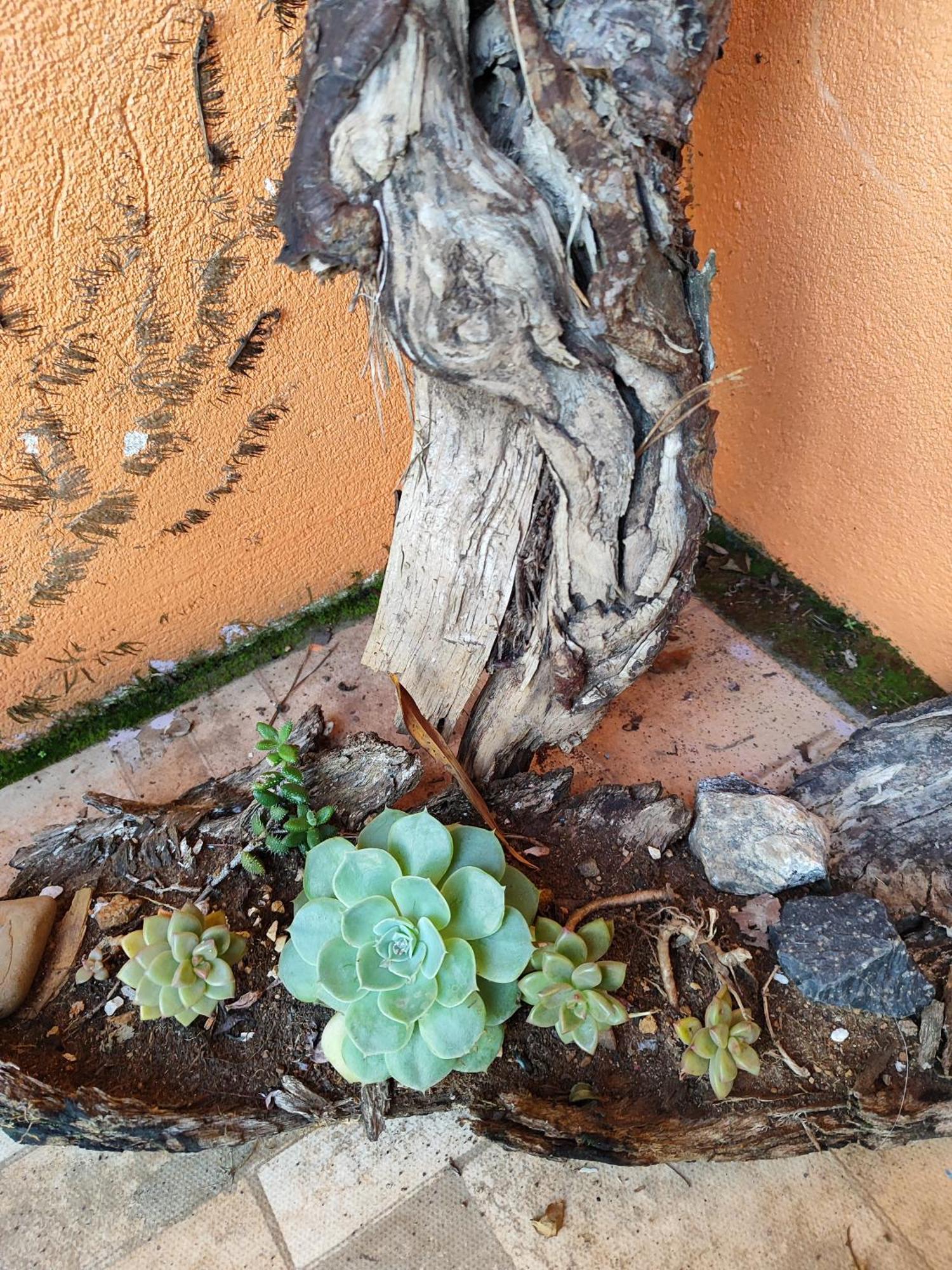 Vila Ecológica Pousada Cambará Exterior foto